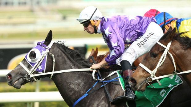 Underrated: Chris Waller's Foxplay wins the Tea Rose Stakes in the spring.