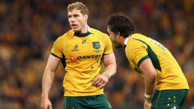 No.8 feels great: Wallabies talisman David Pocock will be shifted to the back of the scrum against the All Blacks.