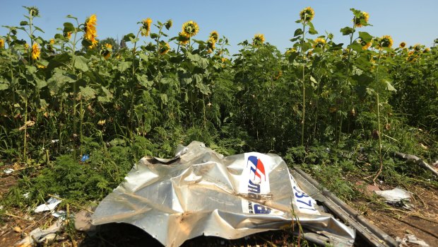 A piece of plane debris at one of the sites where the front section of MH17 crashed.
