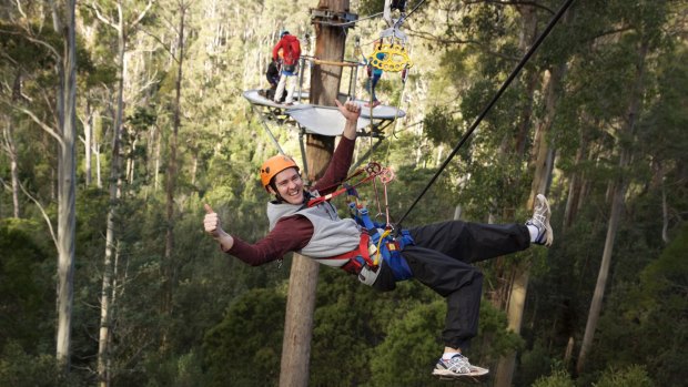 Enjoy a bird's-eye view of the forest ziplining with Hollybank Treetops Adventure.