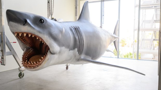 Bruce, the mechanical shark used in Jaws, on display.