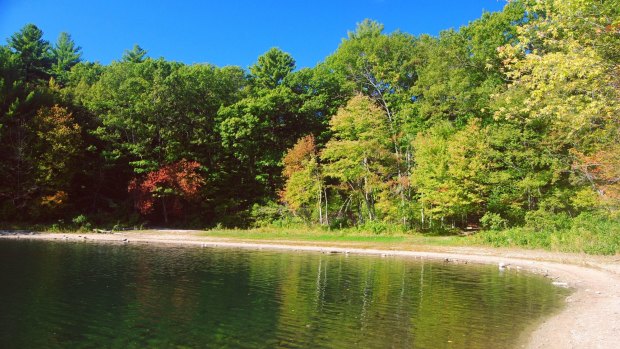 Walden Pond is so swamped with visitors that open-water swimming has been banned.