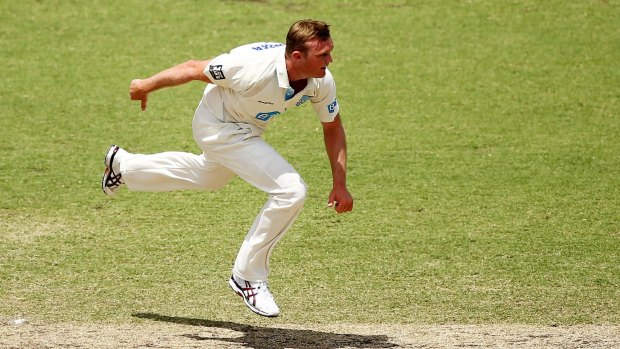 Veteran: NSW bowler Doug Bollinger will return to the first team.