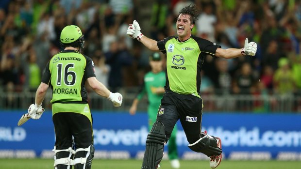 New audience: The BBL has brought a new demographic of fans to cricket.
