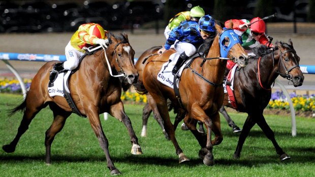Who's the best? Lankan Rupee, left, and Buffering will clash in the Manikato Stakes on Friday night