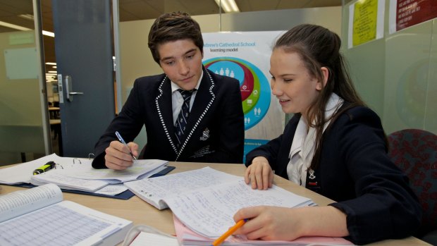 Focused: Daniel Vassilev and Jamie Barbour have chosen to sit the International Baccalaureate exams.