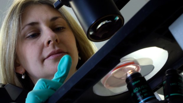 Molecular biologist Dr Gemma Kelly at Walter and Eliza Hall Institute looking at lymphoma cells through a microscope.