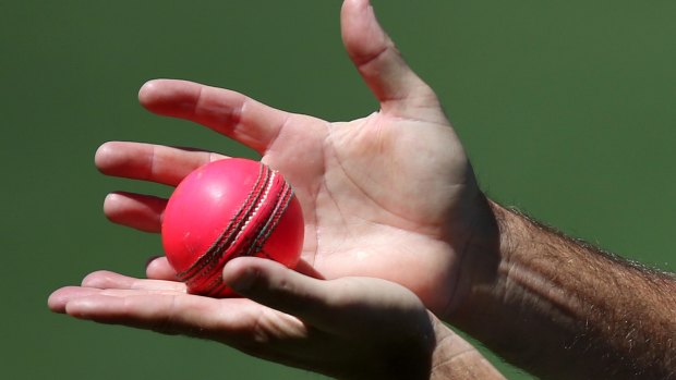 The pink ball: One of three different balls that will be used in the Sheffield Shield this season.
