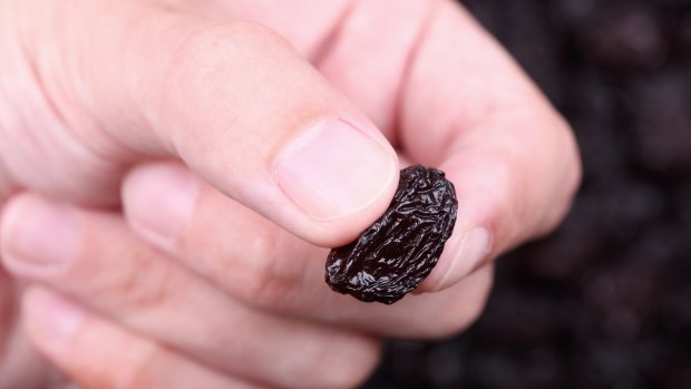 Can a humble raisin hold some answers to the way we eat? 