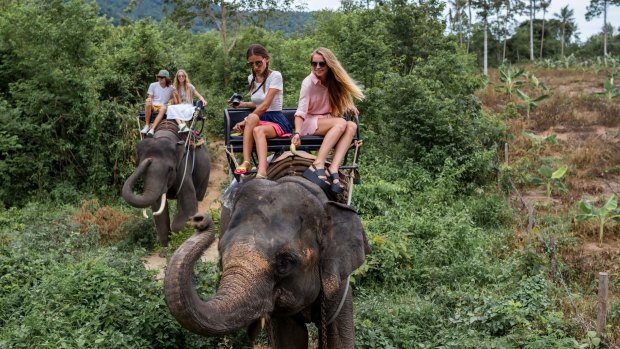 It's worth taking a closer look at any travel experiences involving animals, including the operators and the type of offering.