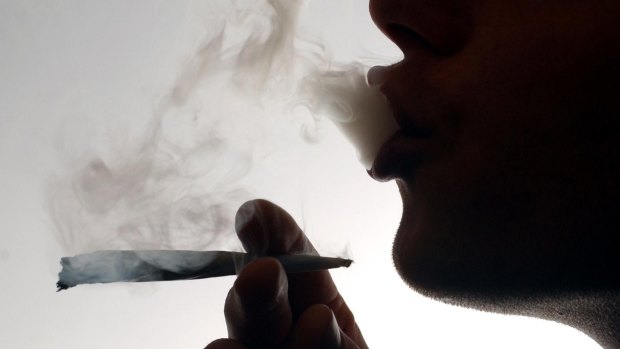 More than one in three Australians admit to using cannabis.