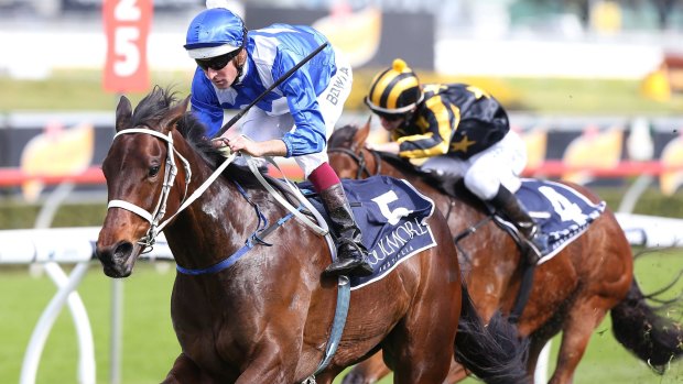 Winx looms as the one to beat in the Epsom Handicap at Randwick on Saturday.