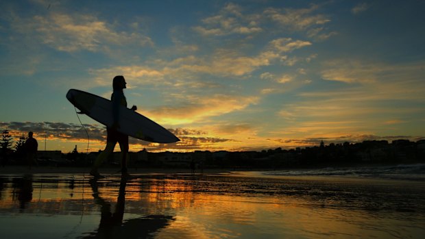 A surfer heads out at Sydney's Bondi
Beach early on Wednesday. It will be a
lot colder out there next week.