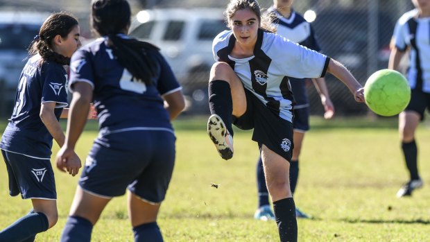 "We're expecting the Matildas to inspire a new generation of girls to start playing and importantly keep our girls playing as they grow up": Dave Lally, president of Lane Cove Football Club.