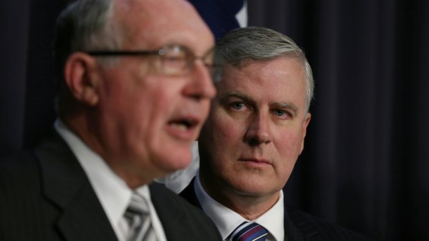 Some see Michael McCormack as the rightful successor to Warren Truss, after all, he's not Barnaby.