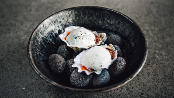 Steamed oysters with sujuk, soured yoghurt and plankton at The Apo, Fortitude Valley.