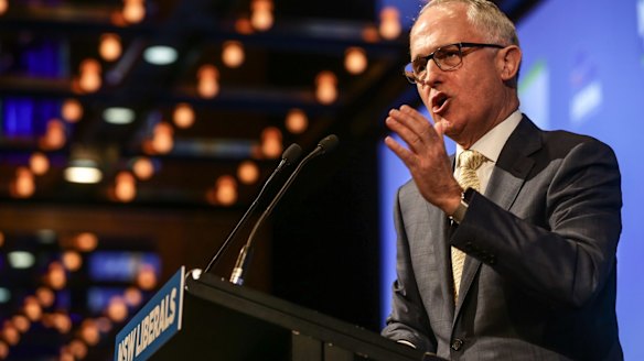 Malcolm Turnbull is expected to revive the animal spirits in the economy. 