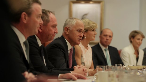 Malcolm Turnbull's cabinet has rallied behind his definition of the Liberal Party. 