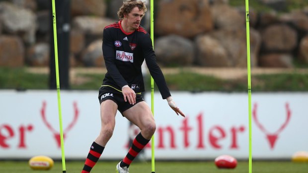 The Bomber of promise: Joe Daniher looks dangerous in the air but it's early days.