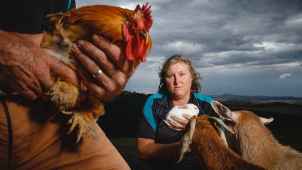 Noah's Ark Farm Friends Petting Zoo owner Cath Rogers is disappointed that the University of Canberra will no longer bring the petting zoo to assist students during exam week and other stressful periods. 