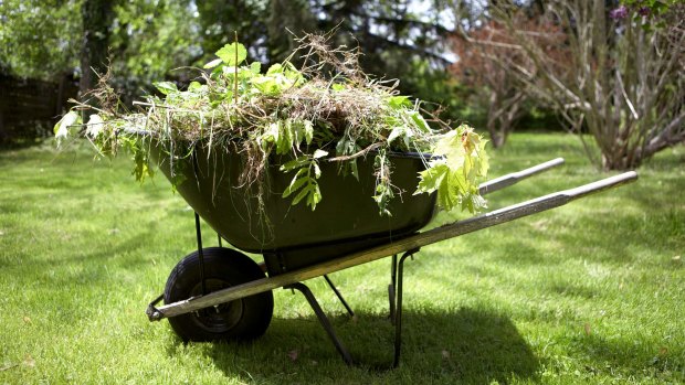 Ridding the garden of weeds was the desired outcome, not policing the hours worked.