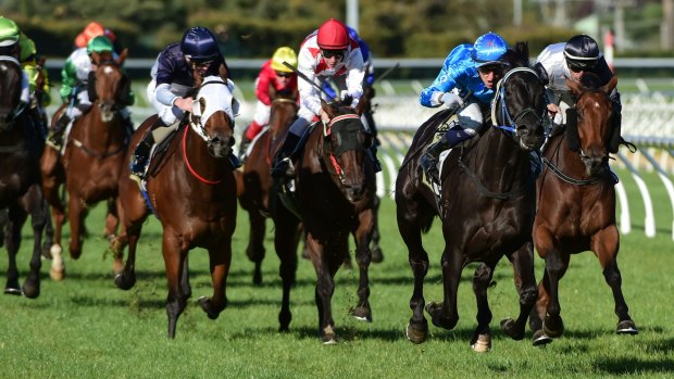 Ruby red hot: Nicholas Hall rides Fontein Ruby to victory at Caulfield on Saturday. 