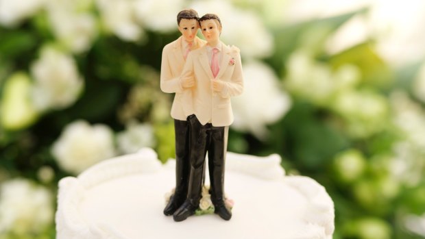 Attorney-General George Brandis believes the 'yes' case for same-sex marriage will prevail.