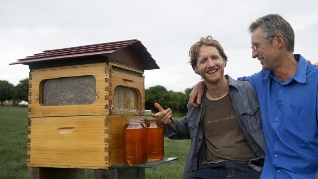 Toast of the internet: Father and son Stuart and Cedar Anderson with their invention, the 'flow hive'.