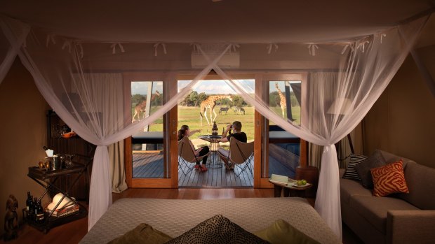 Out of Africa: The Zoofari Lodge has recently undergone a $2.1 million makeover and features 10 luxurious African inspired lodges on the edge of the Savannah exhibit. 