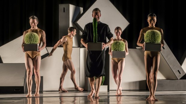 Alexander Ekman's <i>Cacti</i> features an array of cactus plants, which the dancers share the stage with.