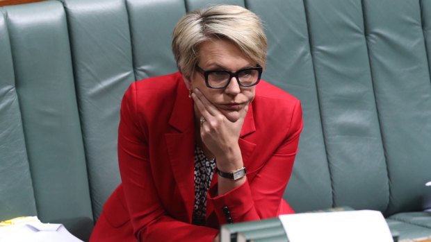 Labor's foreign affairs spokeswoman Tanya Plibersek, pictured in Parliament on Thursday, will announce a $30 million boost to local aid organisations.