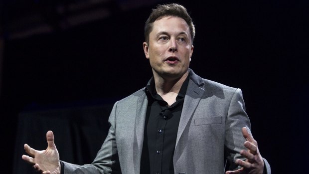 Tesla Motors chairman and chief executive Elon Musk: Full of promises but not enough action.