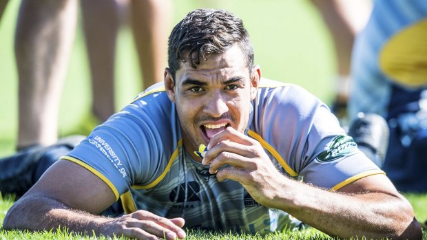 Wallabies potential: Brumbies second-rower Rory Arnold.