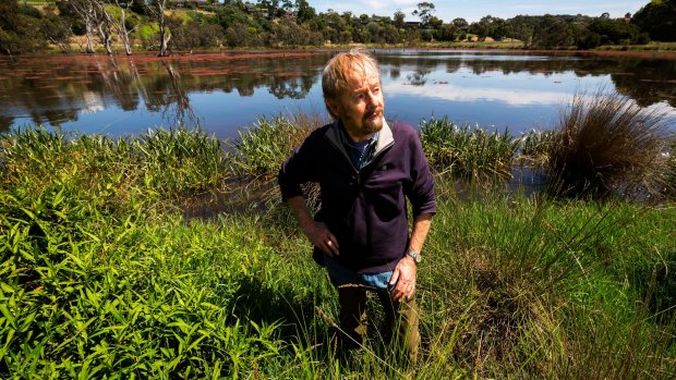 Friends of Banyule president Dennis O'Connell at Banyule Flats Reserve this week. 