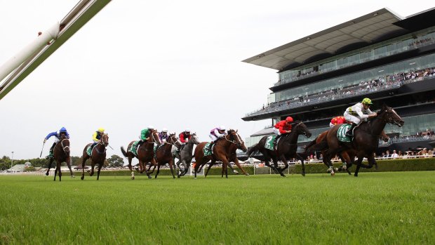 Not good enough: The Randwick track has been problematic for at least 12 years.
