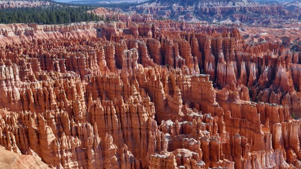 Stunning: A detail of one of Deborah O'Grady's images of the Bryce Canyon National Park.