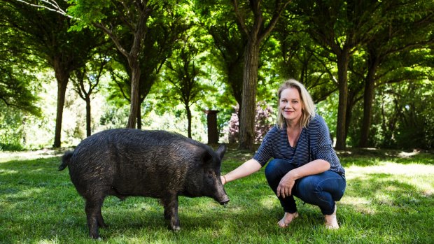 Mona Farm and Historic Home owner Rose Deo with Daddy Pig, the property's resident pet porker.