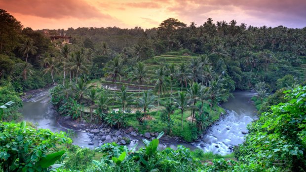 The Ayung River is Bali's longest and, arguably, most picturesque river.