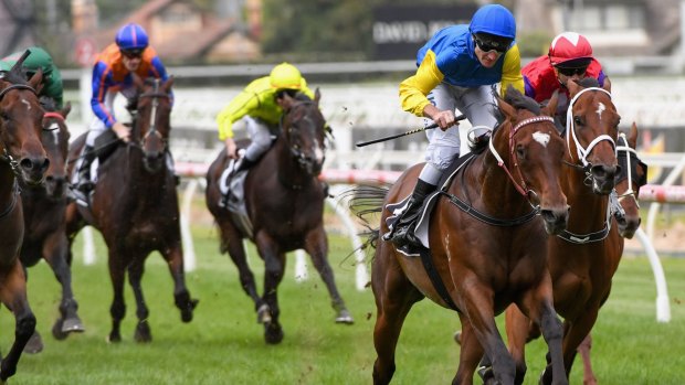 Perfect 10: Brad Rawiller and Black Heart Bart will team up again in the Stradbroke.