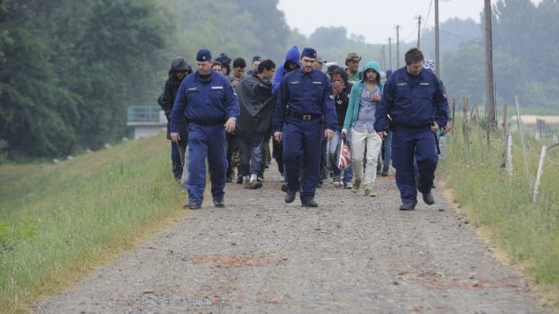 Police officers escort migrants, captured near the Tisza river, south-east of Budapest.