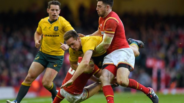 Settling into the role: Dane Haylett-Petty scored one of Australia's five tries in their win against Wales.