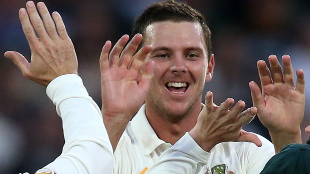 Josh Hazlewood is congratulated by teammates after taking the wicket of Tom Latham.