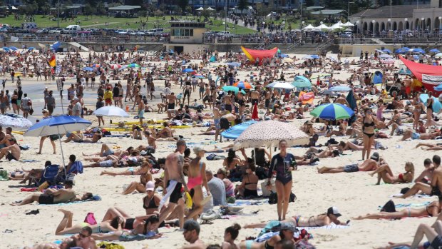 Sydney is set for its first heatwave of summer. 