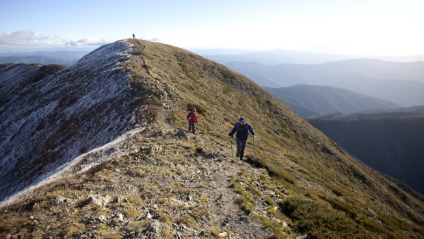 Dykstra, Vallianos and Azzopardi on the final climb up the Razorback Trail to Mt Feathertop.