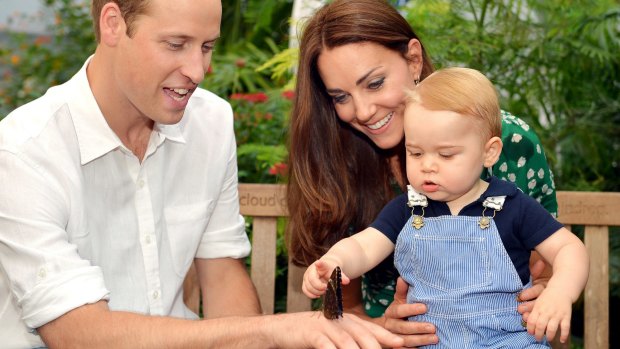 George was fascinated with butterflies during a photo shoot to mark his first birthday.