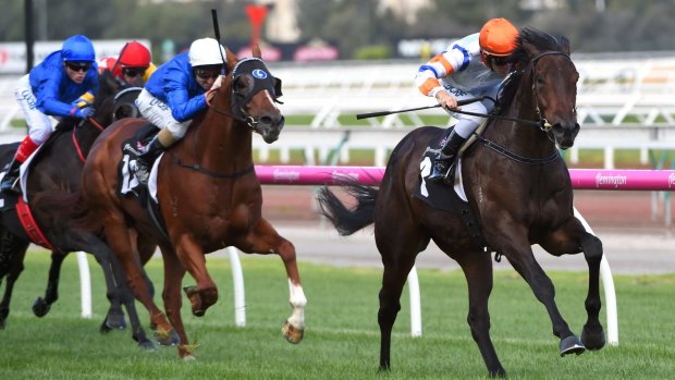 Luke Currie rides Hey Doc to win at Flemington.