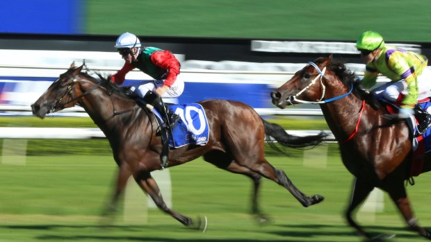 Gai old time: English is Gai Waterhouse's last hope of an autumn group 1. Sam Clipperton takes the ride in the All Aged Stakes.