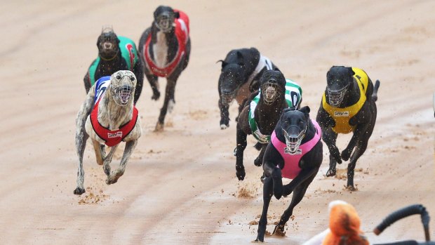 The Queensland Government has moved to abolish all racing boards.