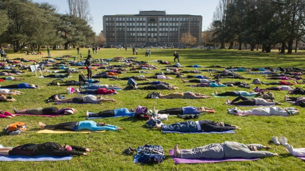 Canberrans participate in an outdoor yoga class to mark the official International Day of Yoga.