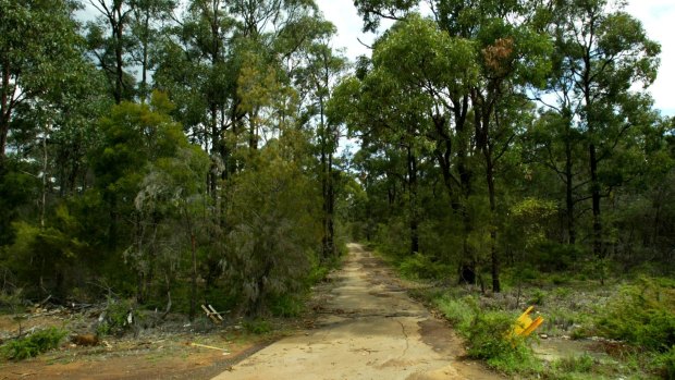 Plans for a bushland track to be used by emergency services vehicles has become a point of contention for Brisbane City Council, Premier Campbell Newman and Ashgrove candidate Kate Jones.